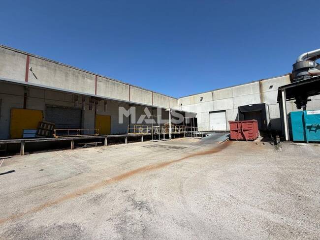 MALSH Realty & Property - Local d'activités - Saint-Etienne Métropole - Saint-Pierre-de-Boeuf - 1