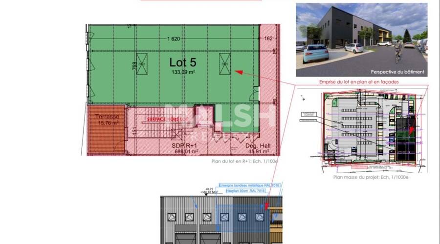 MALSH Realty & Property - Local d'activités - Extérieurs OUEST (Tarare / Arbresle) - Saint-Forgeux - 6