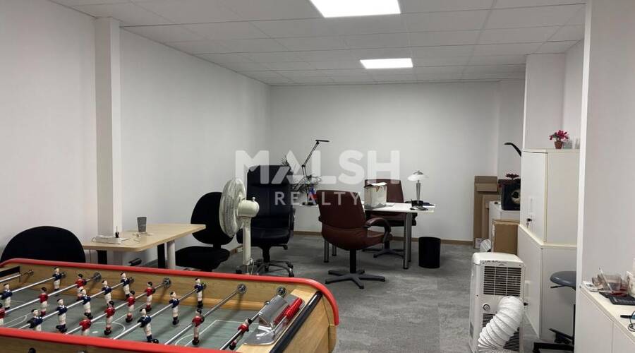MALSH Realty & Property - Local d'activités - Lyon EST (St Priest /Mi Plaine/ A43 / Eurexpo) - Saint-Priest - 9