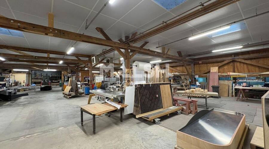 MALSH Realty & Property - Local d'activités - Extérieurs OUEST (Tarare / Arbresle) - Saint-Clément-sur-Valsonne - 8