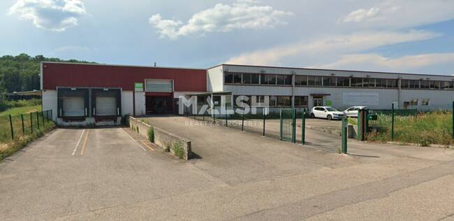 MALSH Realty & Property - Local d'activités - Lyon Sud Ouest - Chaponost - 1