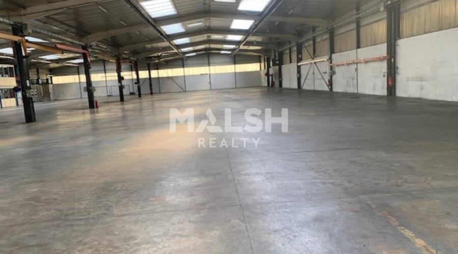 MALSH Realty & Property - Local d'activités - Lyon Sud Ouest - Chaponost - 6