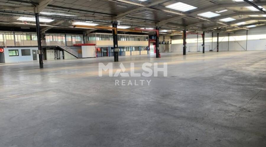 MALSH Realty & Property - Local d'activités - Lyon Sud Ouest - Chaponost - 7