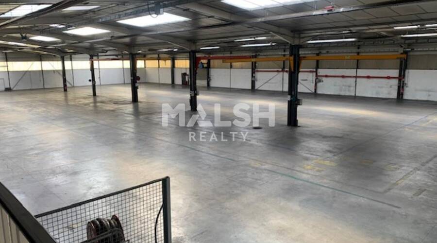 MALSH Realty & Property - Local d'activités - Lyon Sud Ouest - Chaponost - 8