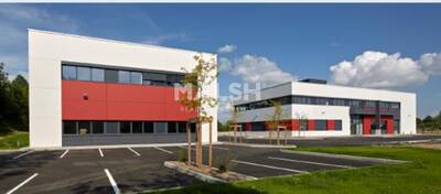 MALSH Realty & Property - Local d'activités - Lyon Nord Ouest ( Techlide / Monts d'Or ) - Dardilly - 23