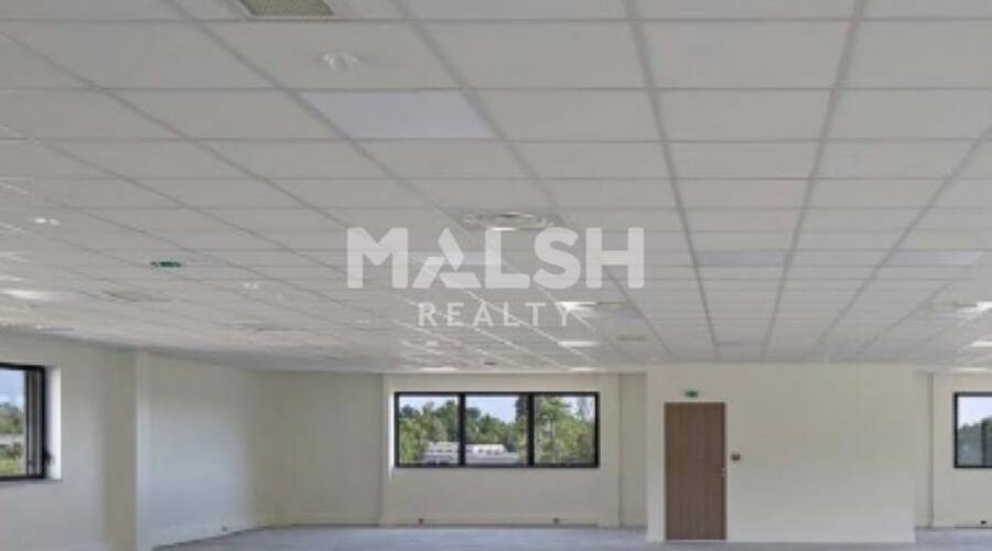 MALSH Realty & Property - Local d'activités - Lyon Nord Ouest ( Techlide / Monts d'Or ) - Dardilly - 5