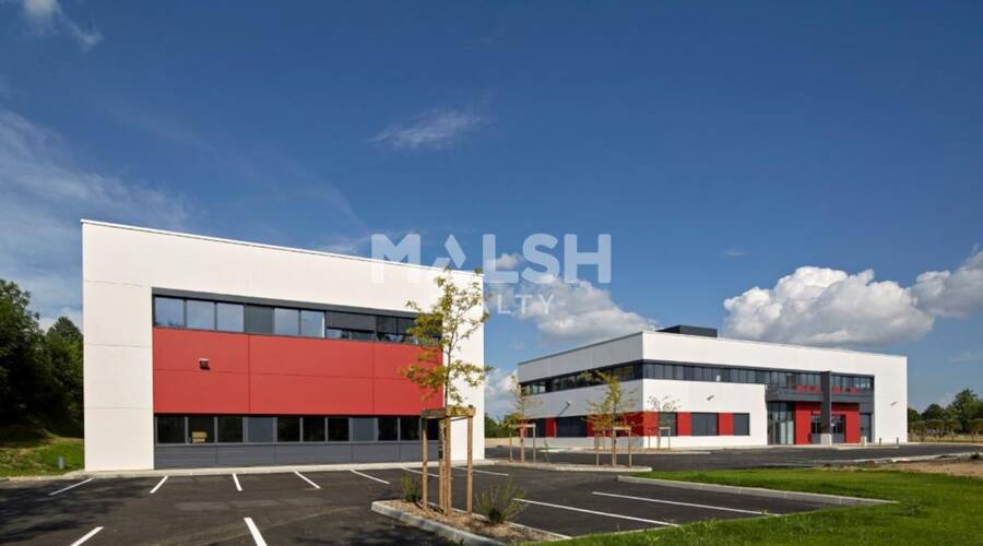 MALSH Realty & Property - Local d'activités - Lyon Nord Ouest ( Techlide / Monts d'Or ) - Dardilly - 29