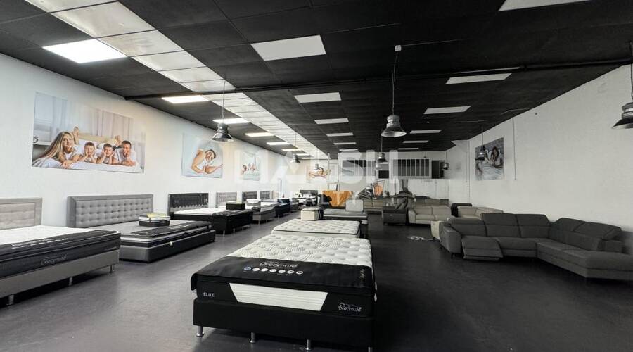 MALSH Realty & Property - Local d'activités - Carré de Soie / Grand Clément / Bel Air - Villeurbanne - 3
