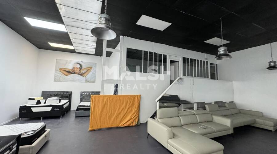 MALSH Realty & Property - Local d'activités - Carré de Soie / Grand Clément / Bel Air - Villeurbanne - 5