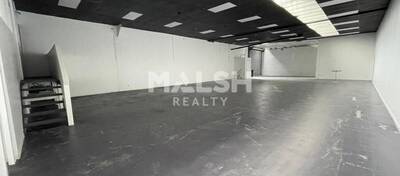 MALSH Realty & Property - Local d'activités - Carré de Soie / Grand Clément / Bel Air - Villeurbanne - 4