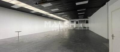 MALSH Realty & Property - Local d'activités - Carré de Soie / Grand Clément / Bel Air - Villeurbanne - 5