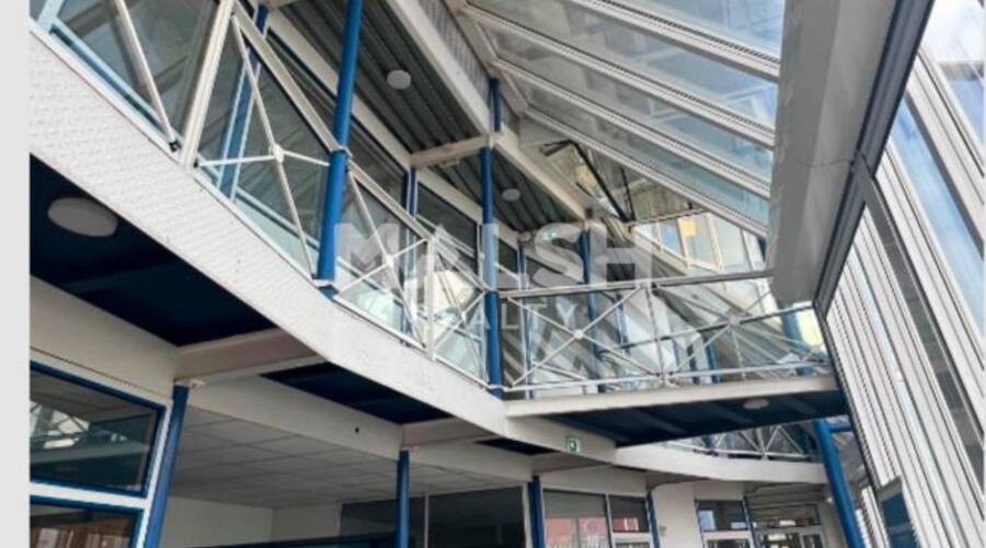 MALSH Realty & Property - Local d'activités - Carré de Soie / Grand Clément / Bel Air - Vaulx-en-Velin - 9