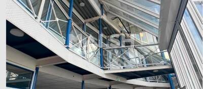 MALSH Realty & Property - Local d'activités - Carré de Soie / Grand Clément / Bel Air - Vaulx-en-Velin - 9