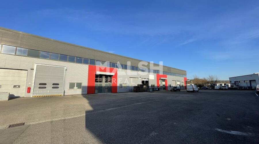 MALSH Realty & Property - Local d'activités - Côtière (Ain/A42/Beynost/Dagneux/Montluel) - Dagneux - 1