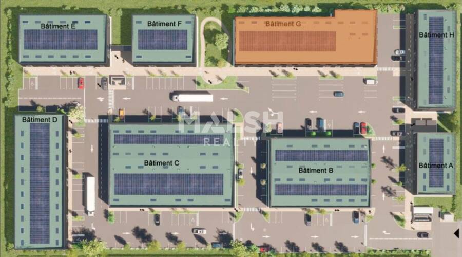 MALSH Realty & Property - Local d'activités - Extérieurs NORD (Villefranche / Belleville) - Trévoux - 8