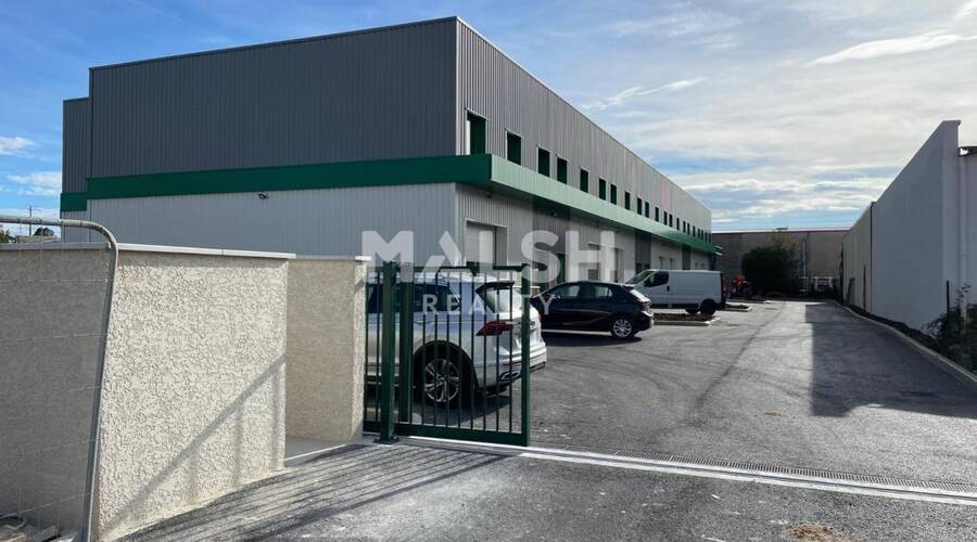 MALSH Realty & Property - Local d'activités - Lyon Sud Est - Mions - 5