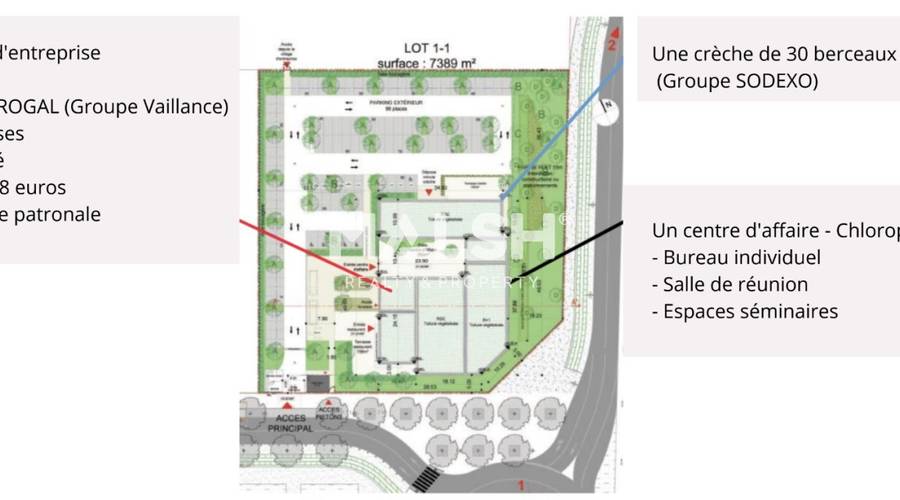 MALSH Realty & Property - Bureaux - Lyon EST (St Priest /Mi Plaine/ A43 / Eurexpo) - Genas - 5