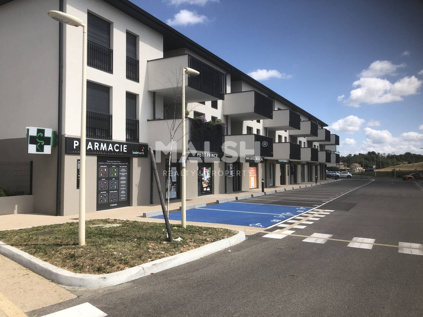 MALSH Realty & Property - Bureaux - Nord Isère ( Ile d'Abeau / St Quentin Falavier ) - Charvieu-Chavagneux - MD_