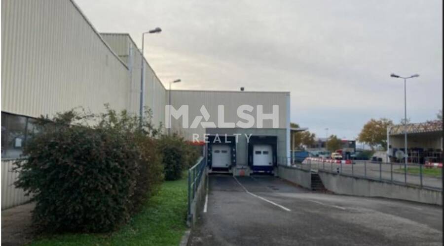 MALSH Realty & Property - Local d'activités - Lyon Sud Est - Vénissieux - 1