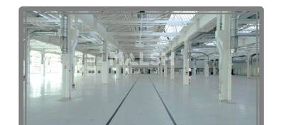 MALSH Realty & Property - Local d'activités - Lyon Sud Est - Vénissieux - 5