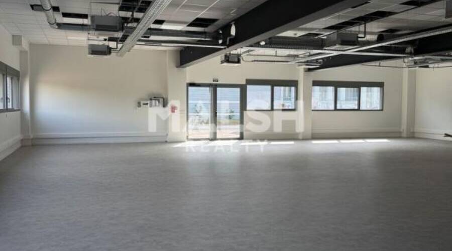 MALSH Realty & Property - Local d'activités - Lyon Sud Est - Vénissieux - 2