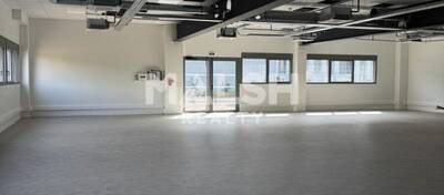 MALSH Realty & Property - Local d'activités - Lyon Sud Est - Vénissieux - 2