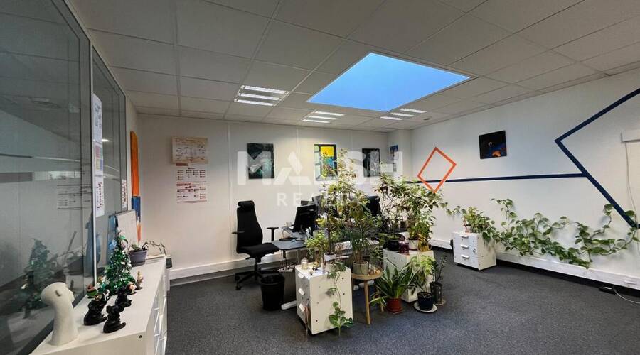 MALSH Realty & Property - Local d'activités - Carré de Soie / Grand Clément / Bel Air - Vaulx-en-Velin - 12