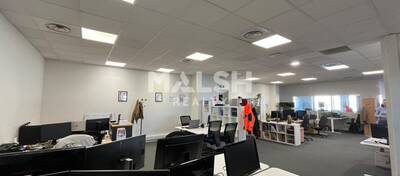MALSH Realty & Property - Local d'activités - Carré de Soie / Grand Clément / Bel Air - Vaulx-en-Velin - 30