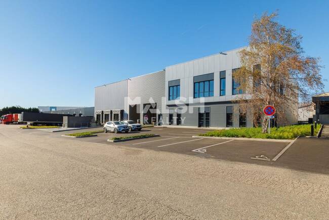 MALSH Realty & Property - Local d'activités - Lyon Sud Est - Corbas - 1