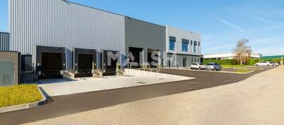 MALSH Realty & Property - Local d'activités - Lyon Sud Est - Corbas - 3