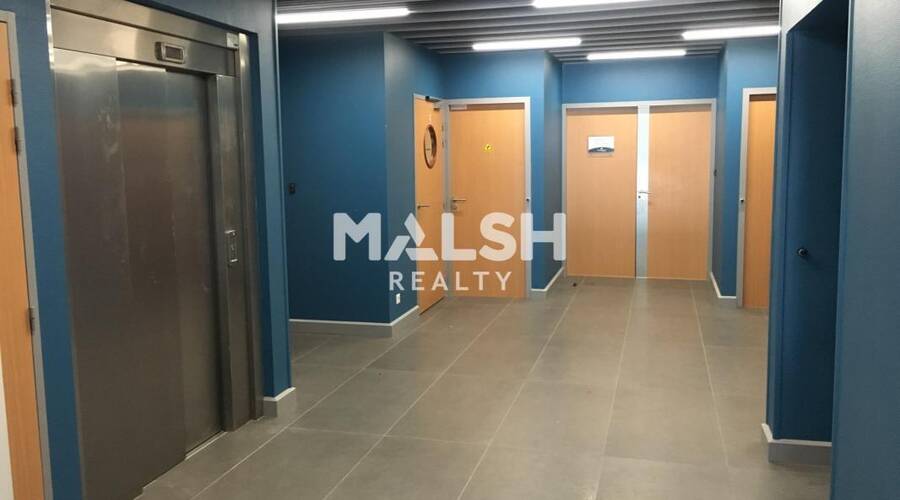 MALSH Realty & Property - Bureau - Lyon Nord Ouest (Techlid / Monts d'Or) - Champagne-au-Mont-d'Or - 2