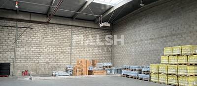 MALSH Realty & Property - Local d'activités - Lyon EST (St Priest /Mi Plaine/ A43 / Eurexpo) - Chassieu - 2