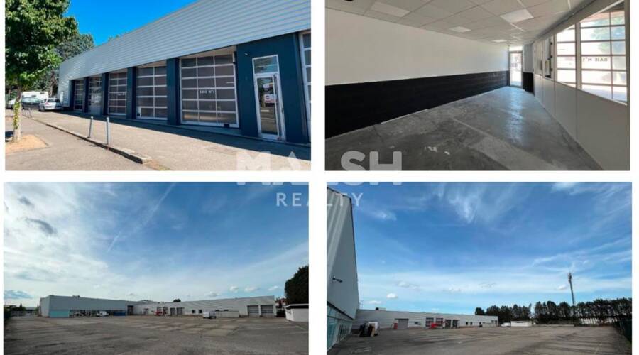 MALSH Realty & Property - Local d'activités - Lyon Sud Est - Vénissieux - 3