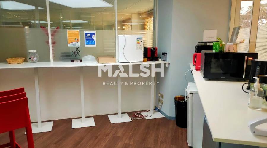 MALSH Realty & Property - Bureaux - Lyon Nord Ouest (Techlid / Monts d'Or) - Tassin-la-Demi-Lune - 3