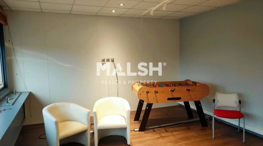 MALSH Realty & Property - Bureaux - Lyon Nord Ouest (Techlid / Monts d'Or) - Tassin-la-Demi-Lune - 4