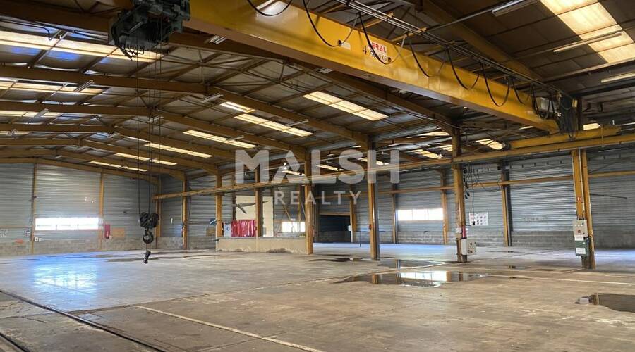 MALSH Realty & Property - Local d'activités - Saint Etienne - Saint-Jean-Bonnefonds - 1