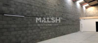 MALSH Realty & Property - Activité - Plaine de l'Ain - Loyettes - 2
