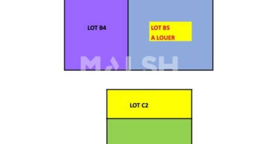 MALSH Realty & Property - Local d'activités - Lyon EST (St Priest /Mi Plaine/ A43 / Eurexpo) - Saint-Priest - 3