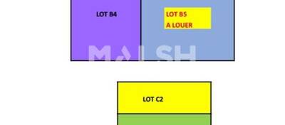 MALSH Realty & Property - Local d'activités - Lyon EST (St Priest /Mi Plaine/ A43 / Eurexpo) - Saint-Priest - 3