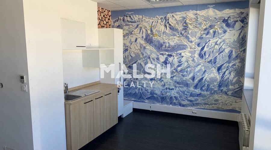 MALSH Realty & Property - Bureau - Plateau Nord / Val de Saône - Caluire-et-Cuire - 9