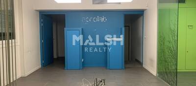 MALSH Realty & Property - Local commercial - Lyon Nord Est (Rhône Amont) - Villeurbanne - 3