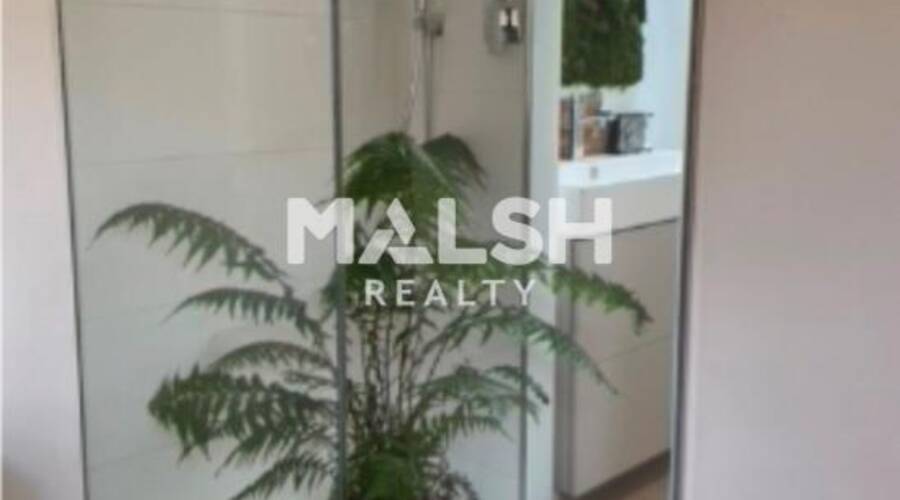 MALSH Realty & Property - Bureau - Carré de Soie / Grand Clément / Bel Air - Vaulx-en-Velin - 6