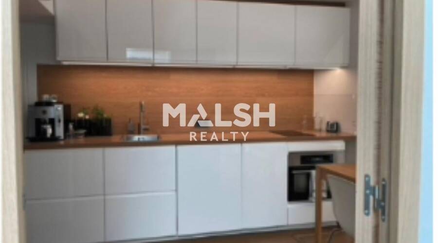 MALSH Realty & Property - Bureau - Carré de Soie / Grand Clément / Bel Air - Vaulx-en-Velin - 9