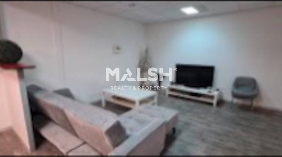 MALSH Realty & Property - Activité - Lyon Nord Est (Rhône Amont) - Meyzieu - MD_