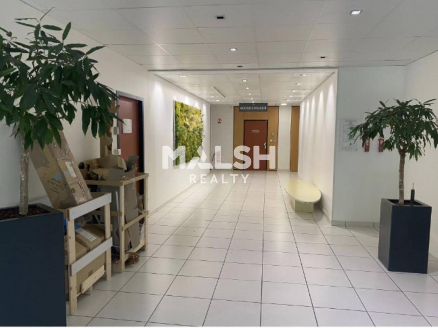MALSH Realty & Property - Bureau - Lyon Nord Ouest (Techlid / Monts d'Or) - Dardilly - 2