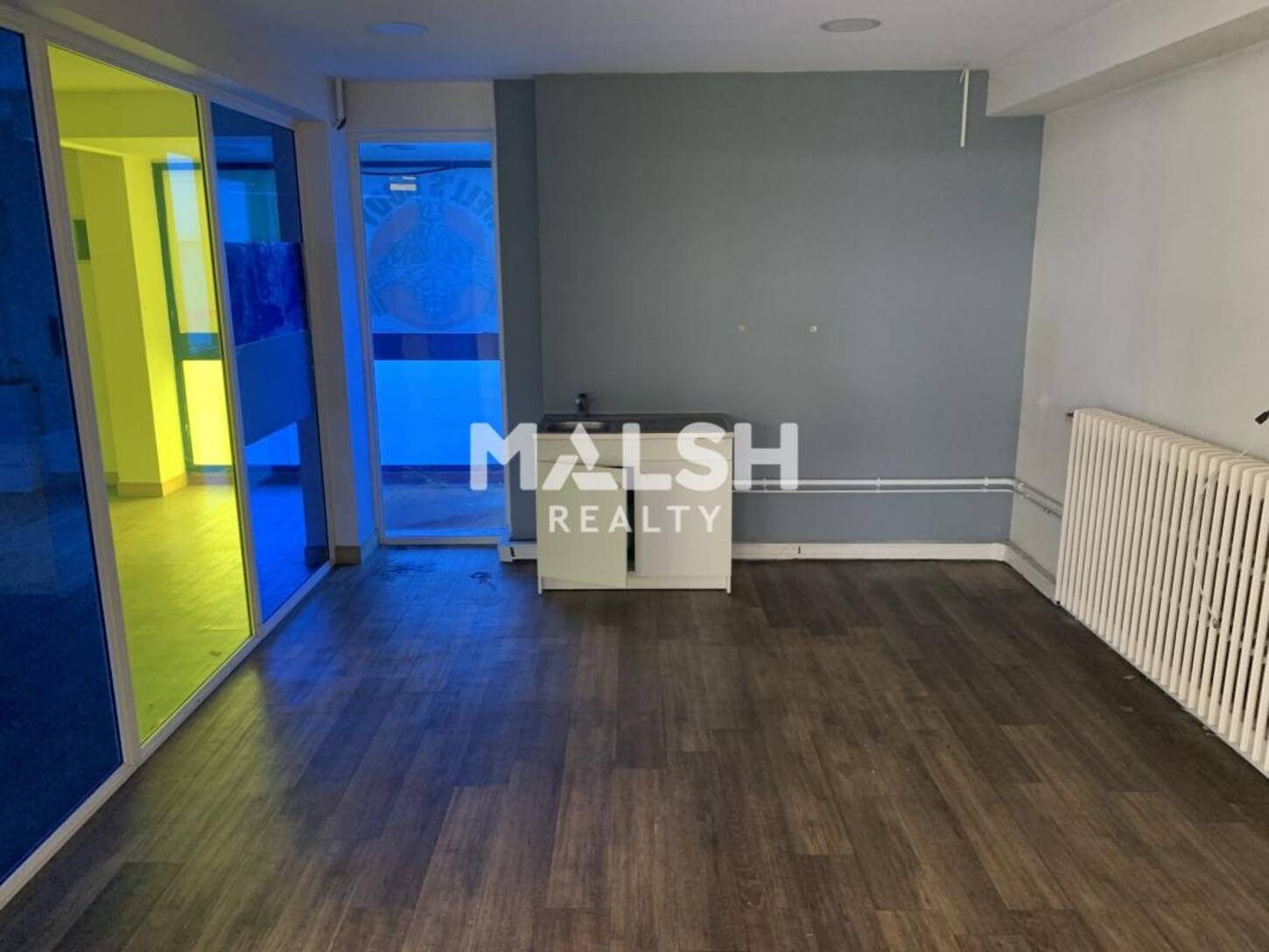 MALSH Realty & Property - Local d'activités - Plateau Nord / Val de Saône - Rillieux-la-Pape - 2