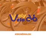 MALSH Realty & Property  - vely_velo_référence_pour_home_page