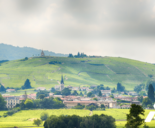 MALSH Realty & Property - pourquoi-s-implanter-installer-dans-le-beaujolais-region-viticole-nord-de-lyon-paysage-vignoble