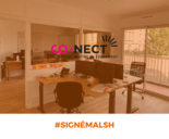 MALSH Realty & Property - signemalsh-conect-co-nect-agence-groupe-evenementielle-360-lyon4-bureaux-surface-henon