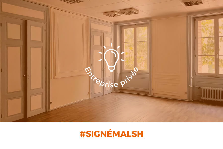 MALSH Realty & Property - location-bureau-local-tournage-lyon-2-bellecour-rue-de-la-republique-spacieux-lumineux-charme-de-ancien-bureau